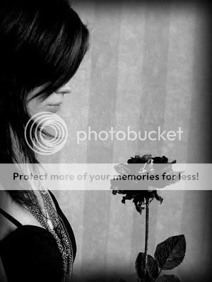 rose girl Pictures, Images and Photos