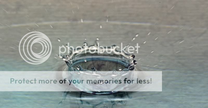 Fotografie