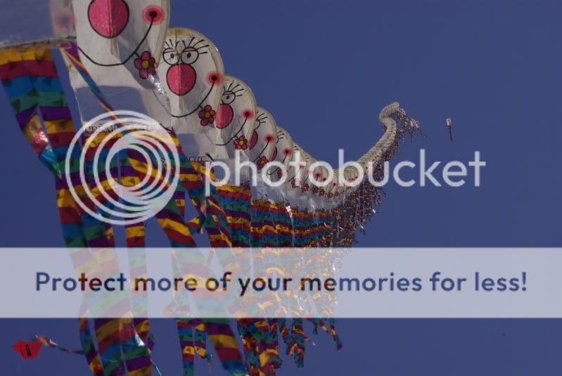 Fotografie