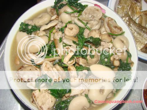 Có ai thích ăn nấm tràm không ? - 3