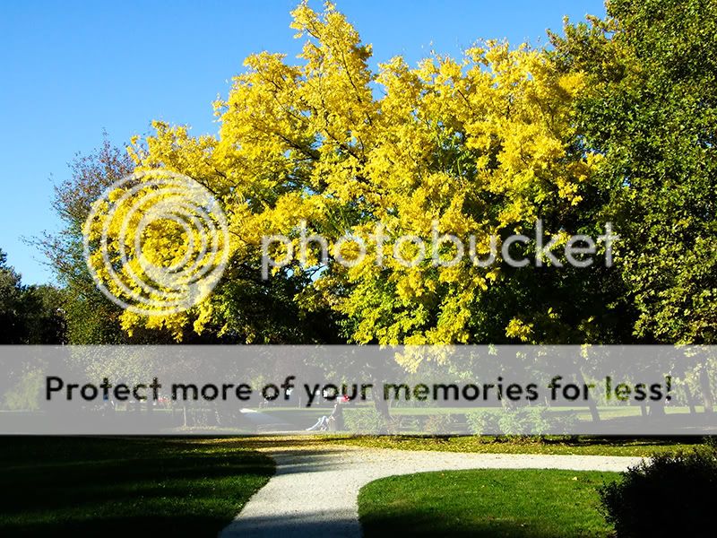 IMAGE: http://i459.photobucket.com/albums/qq314/spoochthedissident/maksimir800-600.jpg