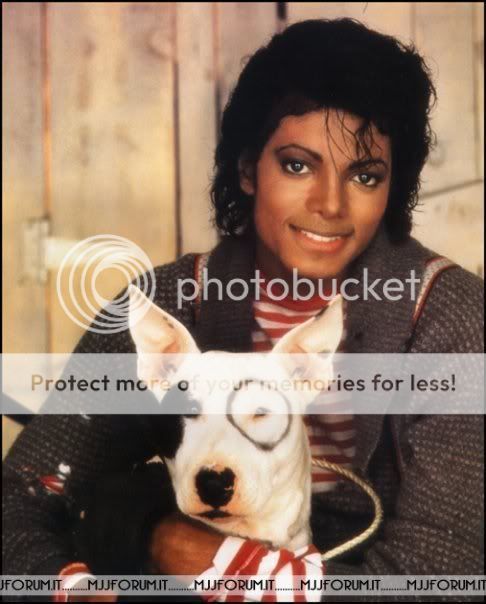 Michael-J-michael-jackson-8328444-4.jpg