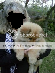 buydog.png
