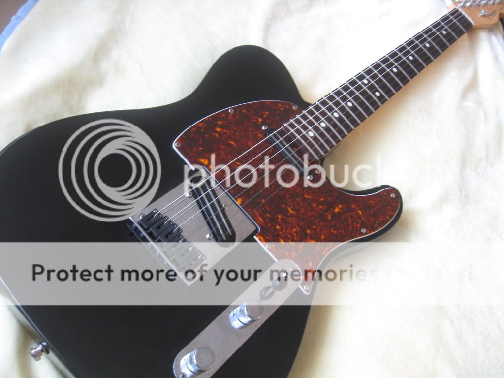 Where to find a 5 hole tortoise shell pickguard for my 52