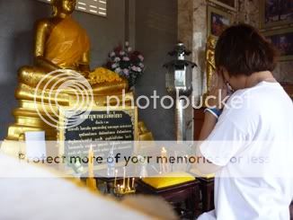 สร้างฝาย