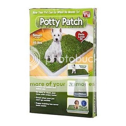 Potty Patch