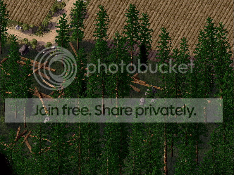 29.png