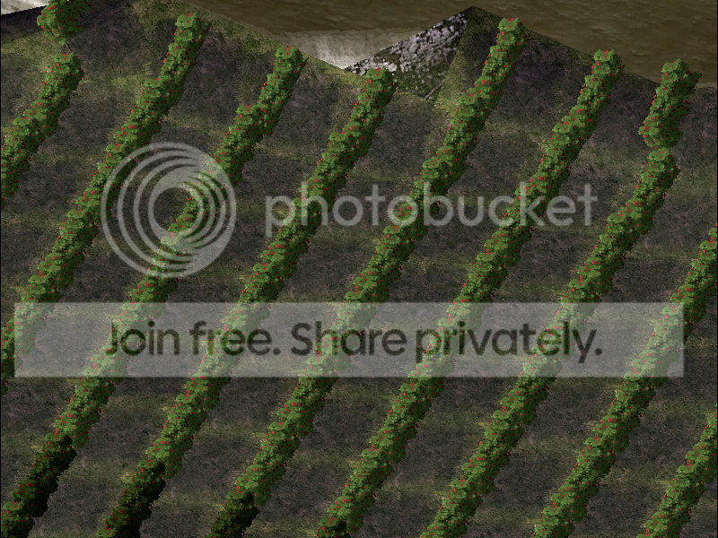 8.png